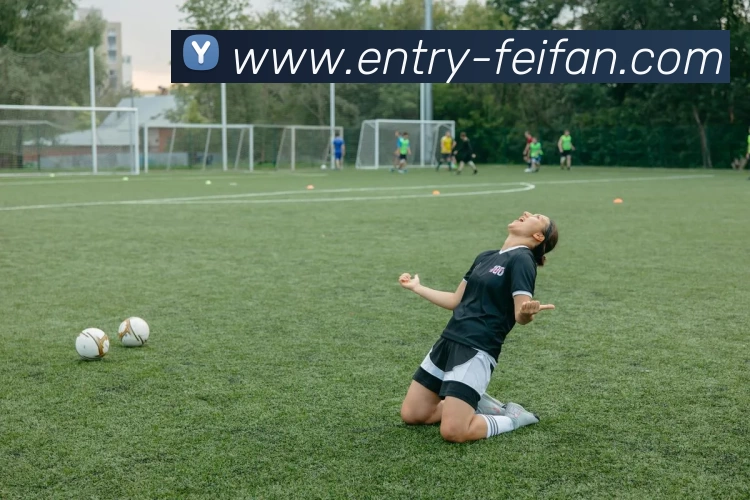 App Interface Preview